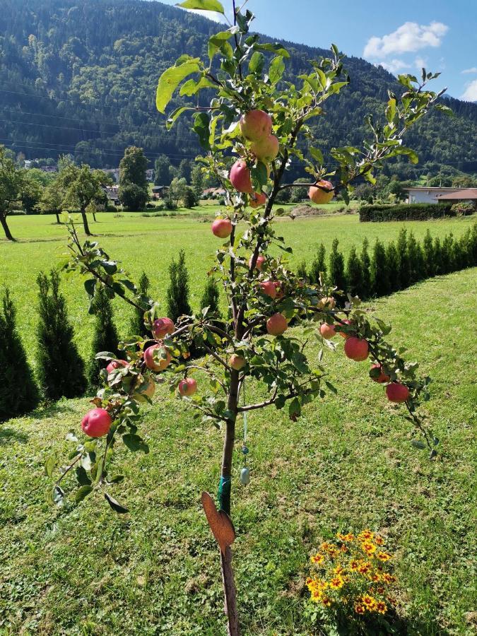 Apartment - Ferienwohnung 1 Treffen Am Ossiachersee 外观 照片